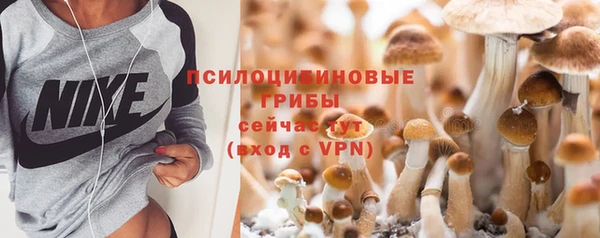 МДПВ Лихославль
